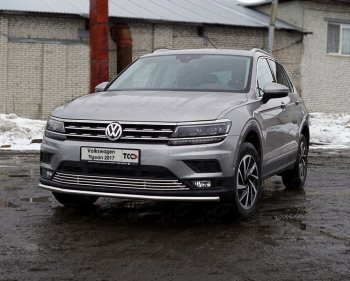 Защита переднего бампера нижняя d42,4 мм ТСС Тюнинг Volkswagen (Волксваген) Tiguan (Тигуан)  Mk2 (2016-2020) Mk2 дорестайлинг ()