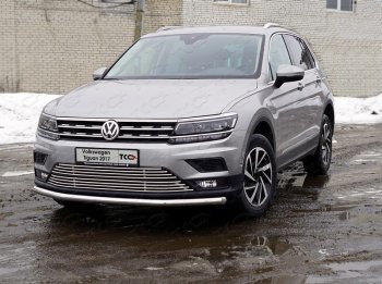 Защита переднего бампера нижняя d60,3 мм ТСС Тюнинг Volkswagen Tiguan Mk2 дорестайлинг (2016-2020) ()