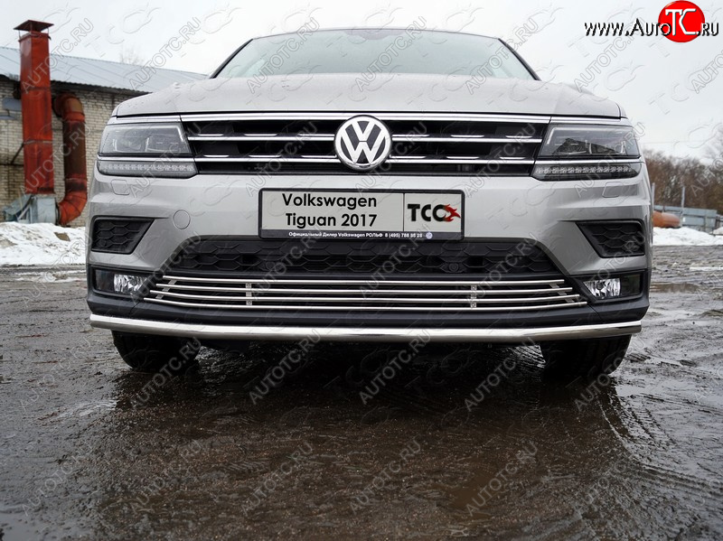 7 349 р. Нижняя декоративная вставка в бампер ТСС Тюнинг Volkswagen Tiguan Mk2 дорестайлинг (2016-2020) (d 12 мм)  с доставкой в г. Тольятти