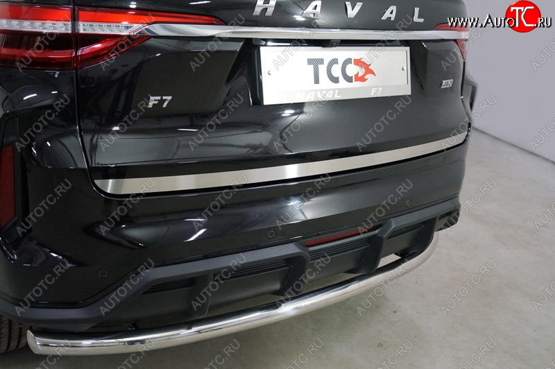 2 199 р. Накладка на заднюю дверь, ТСС Тюнинг  Haval F7 (2022-2024) рестайлинг (Лист шлифованный)  с доставкой в г. Тольятти