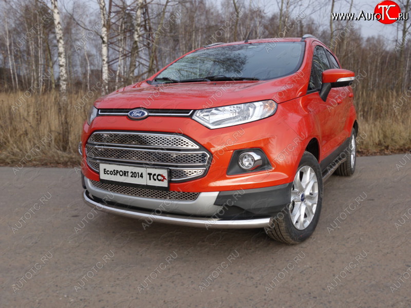 12 999 р. Защита переднего бампера нижняя d60,3 мм ТСС Тюнинг  Ford EcoSport (2013-2019) дорестайлинг (нержавейка)  с доставкой в г. Тольятти