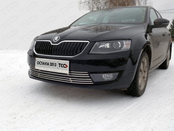 Декоративная вставка переднего бампера ТСС Тюнинг Skoda Octavia A7 дорестайлинг универсал (2012-2017) ()