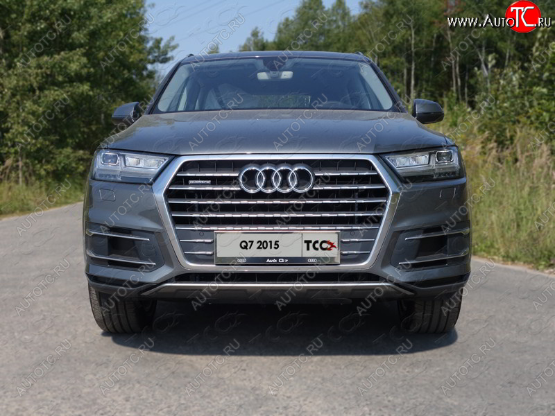 5 999 р. Рамка гос. номера ТСС Тюнинг  Audi Q7  4M (2015-2020) дорестайлинг (нержавейка)  с доставкой в г. Тольятти