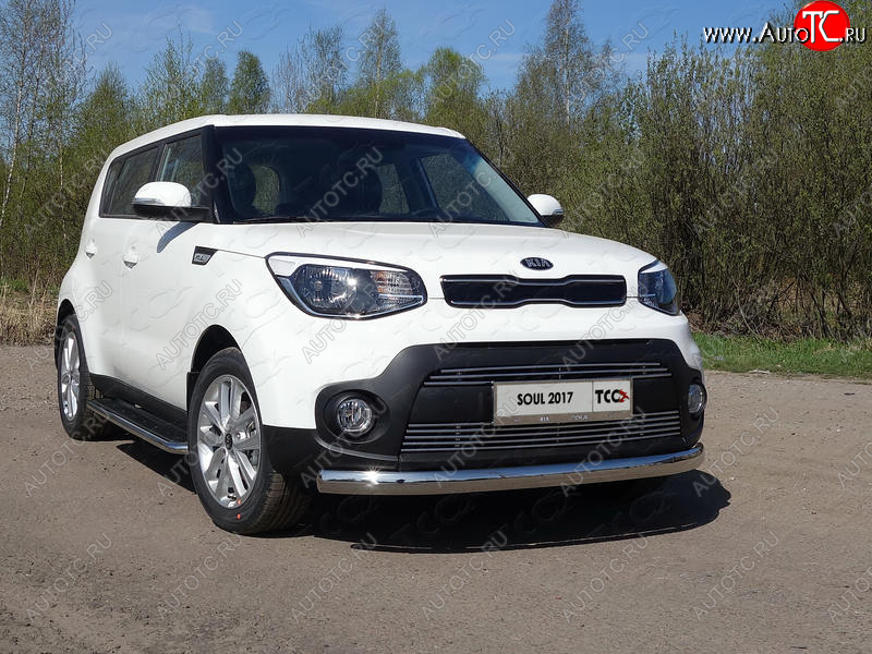 6 199 р. Рамка гос. номера ТСС Тюнинг KIA Soul PS рестайлинг (2017-2019) (нержавейка)  с доставкой в г. Тольятти