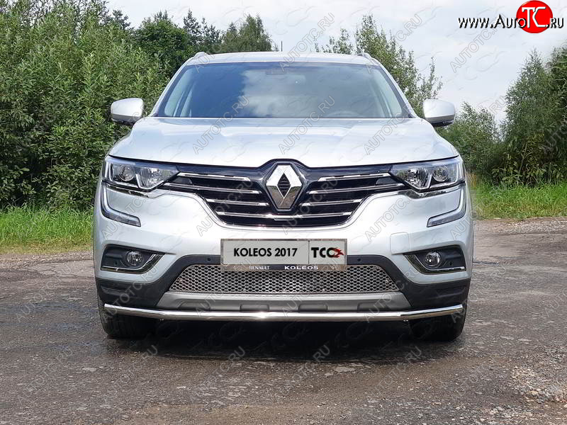 1 000 000 р. Рамка гос. номера ТСС Тюнинг  Renault Koleos  2 (2016-2025) (нержавейка)  с доставкой в г. Тольятти