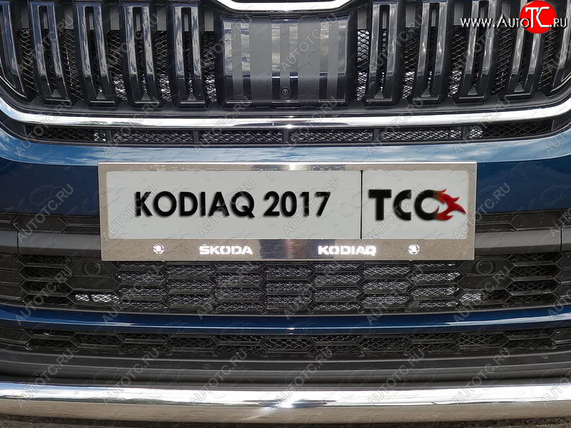 6 449 р. Рамка гос. номера ТСС Тюнинг  Skoda Kodiaq  NU7 (2017-2021) дорестайлинг (нержавейка)  с доставкой в г. Тольятти