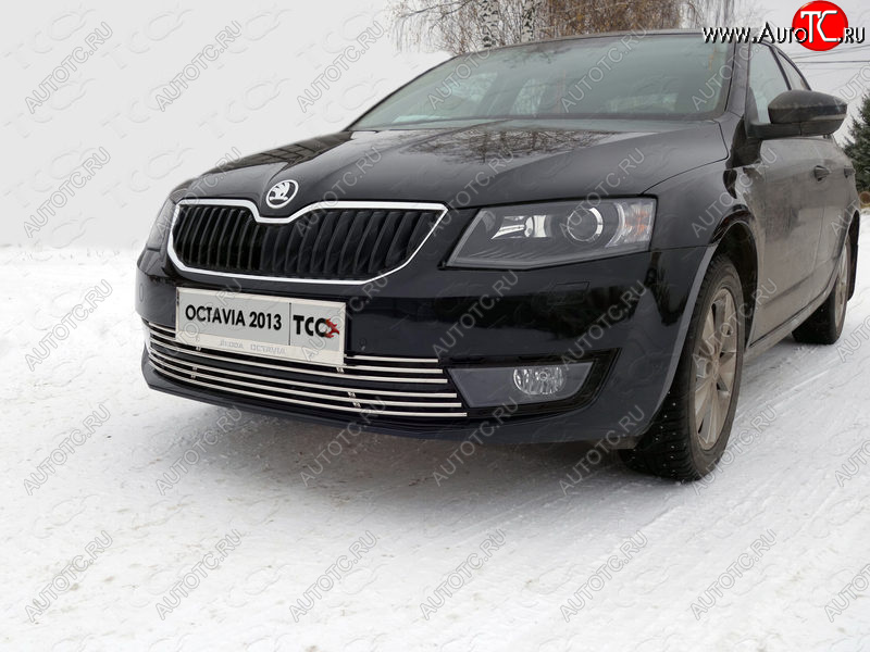 1 000 000 р. Рамка гос. номера ТСС Тюнинг Skoda Octavia A7 дорестайлинг лифтбэк (2012-2017) (нержавейка)  с доставкой в г. Тольятти