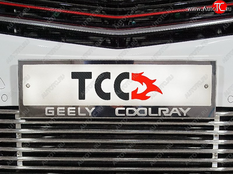 5 299 р. Рамка гос. номера ТСС Тюнинг  Geely Coolray  SX11 (2018-2023) дорестайлинг (нержавейка)  с доставкой в г. Тольятти