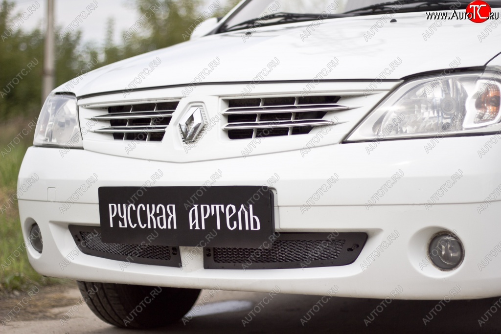 1 799 р. Защитная сетка решетки переднего бампера РА Renault Logan 1 дорестайлинг (2004-2010)  с доставкой в г. Тольятти