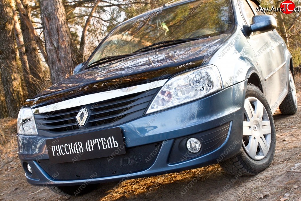 969 р. Защитная сетка решетки переднего бампера РА Renault Logan 1 рестайлинг (2010-2016)  с доставкой в г. Тольятти