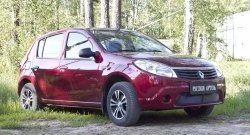 2 089 р. Защитная сетка решетки переднего бампера РА Renault Sandero (BS) (2009-2014)  с доставкой в г. Тольятти. Увеличить фотографию 3