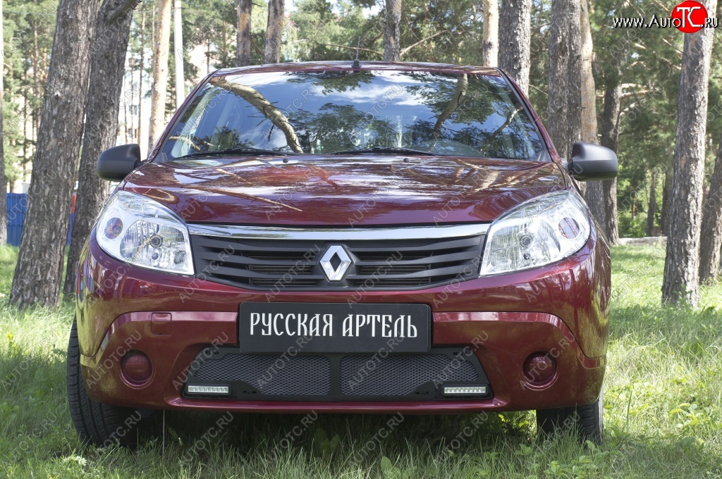 2 069 р. Защитная сетка решетки переднего бампера (с ДХО) РА Renault Sandero (BS) (2009-2014)  с доставкой в г. Тольятти