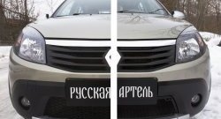 2 149 р. Защитная сетка решетки переднего бампера РА Renault Sandero Stepway (BS) (2010-2014)  с доставкой в г. Тольятти. Увеличить фотографию 2