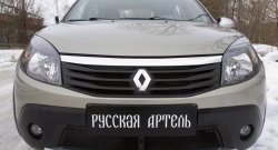 2 149 р. Защитная сетка решетки переднего бампера РА Renault Sandero Stepway (BS) (2010-2014)  с доставкой в г. Тольятти. Увеличить фотографию 3