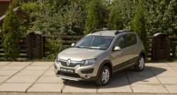 4 699 р. Молдинги дверей RA (комплект) Renault Sandero (B8) дорестайлинг (2014-2018) (Поверхность глянец (под окраску), Неокрашенные)  с доставкой в г. Тольятти. Увеличить фотографию 2