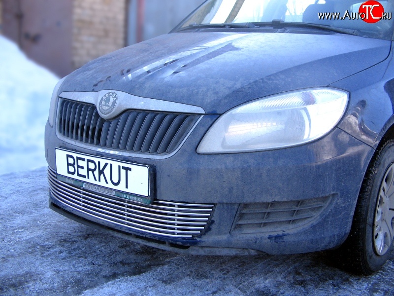 5 899 р. Декоративная вставка воздухозаборника Berkut Skoda Fabia Mk2 универсал дорестайлинг (2007-2010)  с доставкой в г. Тольятти