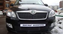 1 469 р. Сетка на бампер (рестайлинг) Russtal (черная) Skoda Fabia Mk2 универсал дорестайлинг (2007-2010)  с доставкой в г. Тольятти. Увеличить фотографию 3