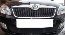 1 469 р. Сетка на бампер (рестайлинг) Russtal (черная) Skoda Fabia Mk2 универсал дорестайлинг (2007-2010)  с доставкой в г. Тольятти. Увеличить фотографию 4