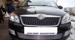 1 539 р. Сетка на бампер (рестайлинг) Russtal (хром)  Skoda Fabia  Mk2 (2007-2010) универсал дорестайлинг, хэтчбэк дорестайлинг  с доставкой в г. Тольятти. Увеличить фотографию 2