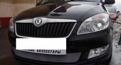 1 539 р. Сетка на бампер (рестайлинг) Russtal (хром)  Skoda Fabia  Mk2 (2007-2010) универсал дорестайлинг, хэтчбэк дорестайлинг  с доставкой в г. Тольятти. Увеличить фотографию 4