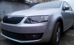 2 569 р. Сетка (для комплектации Ambition, Elegance) на бампер Russtal (черная) Skoda Octavia A7 дорестайлинг лифтбэк (2012-2017)  с доставкой в г. Тольятти. Увеличить фотографию 2