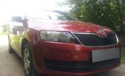 2 339 р. Сетка на бампер Russtal (черная) Skoda Rapid NH3 дорестайлинг лифтбэк (2012-2017)  с доставкой в г. Тольятти. Увеличить фотографию 3