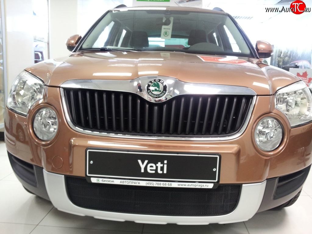 1 469 р. Сетка на бампер Russtal (черная) Skoda Yeti (2009-2013)  с доставкой в г. Тольятти