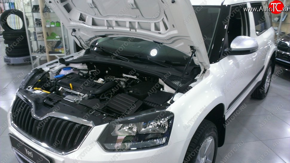 2 199 р. Газовый упор капота Berkut Skoda Yeti (2009-2013)  с доставкой в г. Тольятти