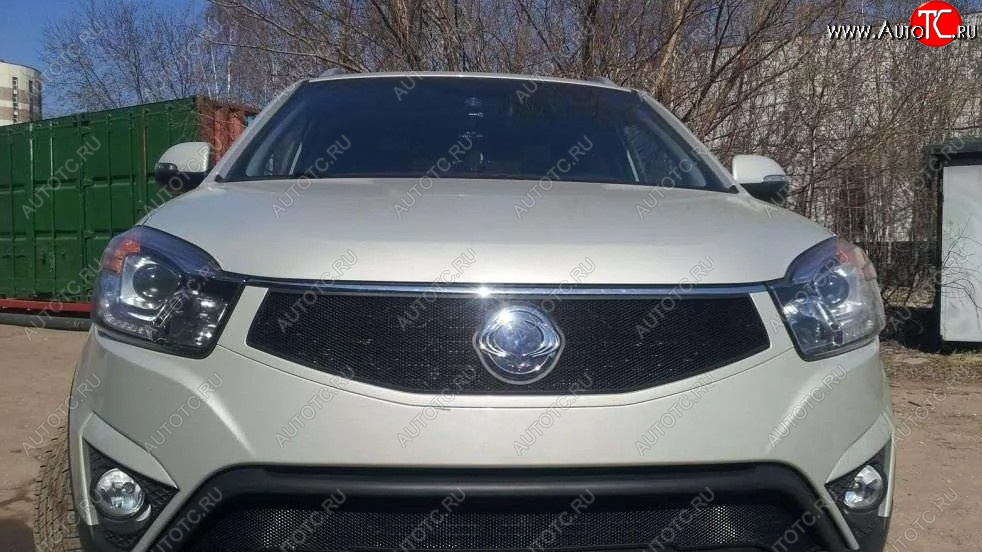 1 469 р. Защитная сетка в решетку радиатора Russtal  SSANGYONG Actyon (2013-2021) рестайлинг  с доставкой в г. Тольятти