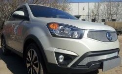 1 539 р. Сетка в решетку радиатора Russtal  SSANGYONG Actyon (2013-2021) рестайлинг (хром)  с доставкой в г. Тольятти. Увеличить фотографию 2