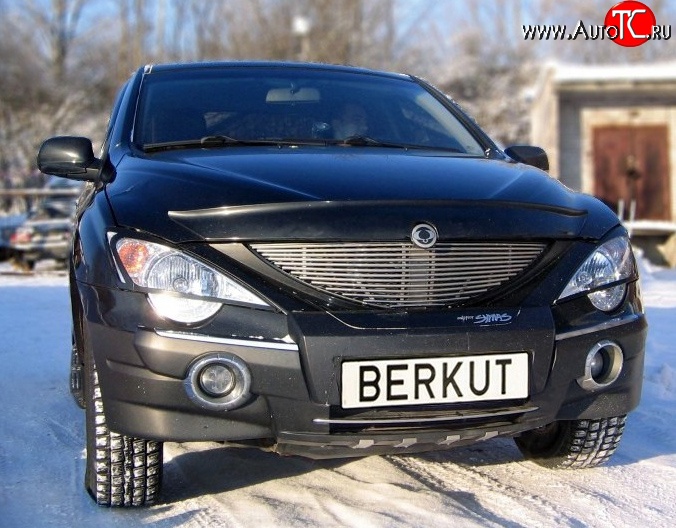 5 999 р. Декоративная вставка решетки радиатора Berkut SSANGYONG Actyon 1 (2006-2010)  с доставкой в г. Тольятти