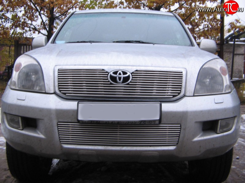 4 399 р. Декоративная вставка воздухозаборника Berkut Toyota Land Cruiser Prado J120 (2002-2009)  с доставкой в г. Тольятти