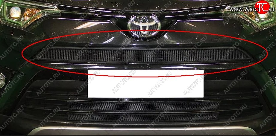 1 469 р. Сетка в решетку радиатора Russtal  Toyota RAV4  XA40 (2015-2019) 5 дв. рестайлинг (черная)  с доставкой в г. Тольятти