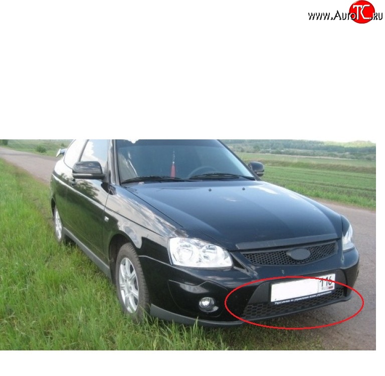 419 р. Решетка бампера 21728 Priora Sport нижняя Лада Приора 21728 купе дорестайлинг (2010-2013)  с доставкой в г. Тольятти