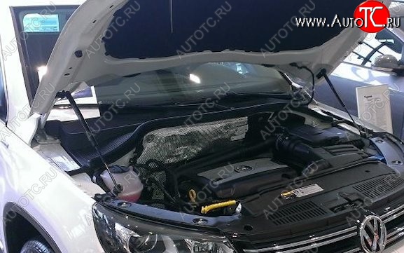 2 199 р. Газовый упор капота Berkut Volkswagen Tiguan NF дорестайлинг (2006-2011)  с доставкой в г. Тольятти